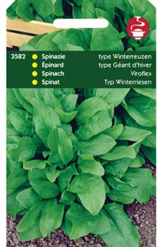 Spinazie Winterreuzen Viroflex (Spinacia oleracea) 3500 zaden HT